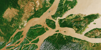 Il Rio delle Amazzoni visto dal satellite