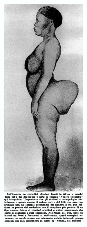 Saartjie Baartman dal primo volume de La difesa della razza