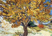Vincent van Gogh, Gelso, 1889, olio su tela, Norton Simon Museum, Pasadena.
