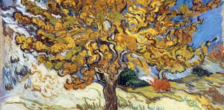 Vincent van Gogh, Gelso, 1889, olio su tela, Norton Simon Museum, Pasadena.