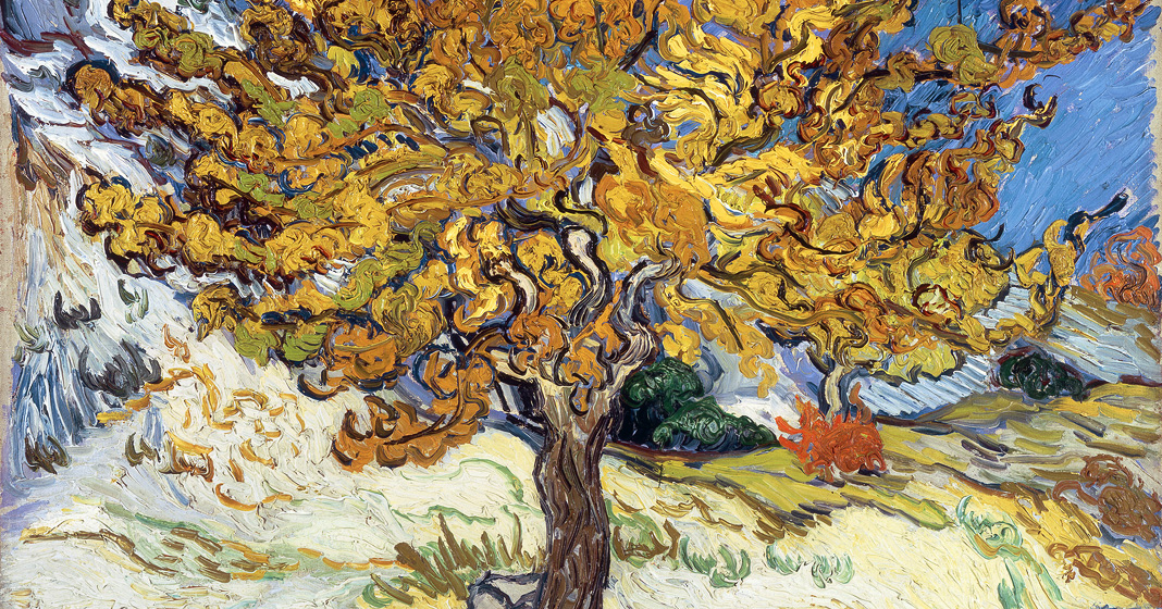 Vincent van Gogh, Gelso, 1889, olio su tela, Norton Simon Museum, Pasadena.
