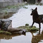 Andrej Tarkovskij, Stalker