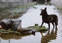 Andrej Tarkovskij, Stalker