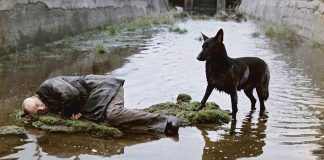 Andrej Tarkovskij, Stalker