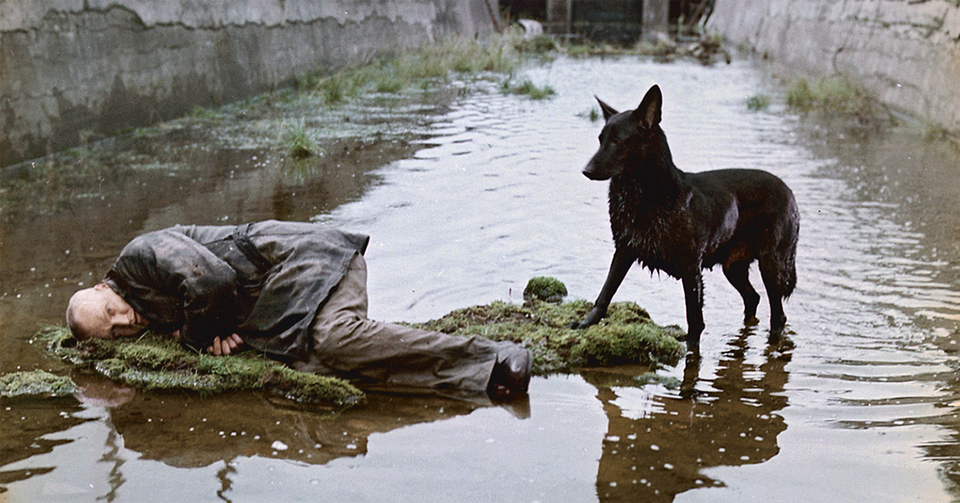 Andrej Tarkovskij, Stalker