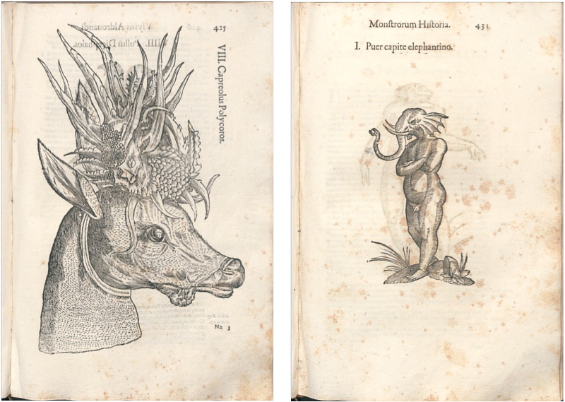 Pagine da Monstrorum Historia