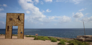 Enrica Tancioni, Lampedusa