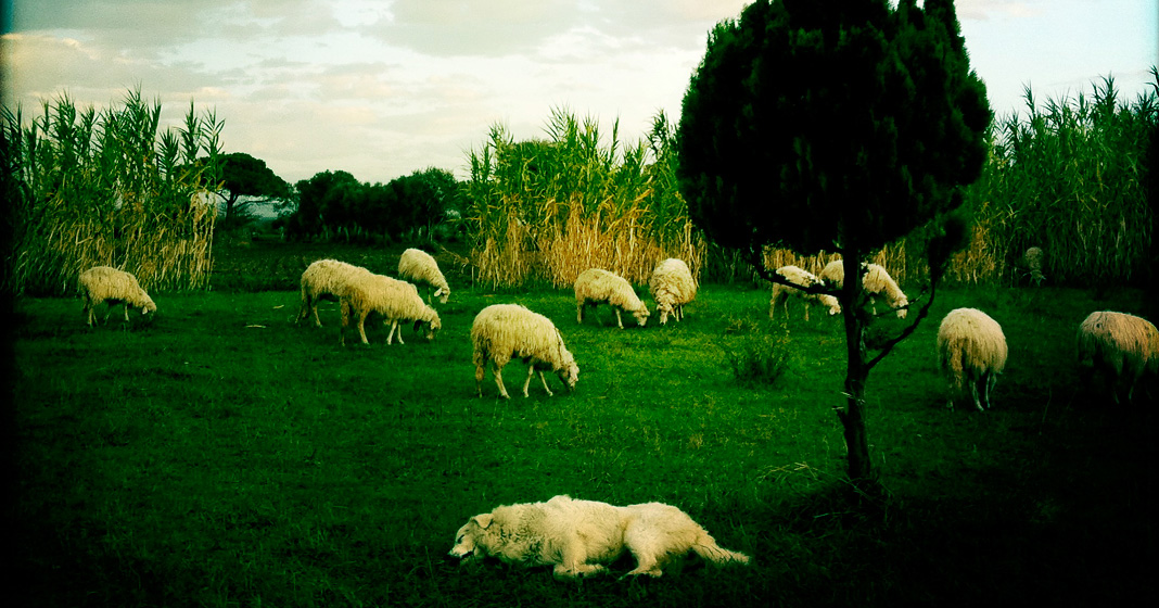 Massimo Giacci, Et in Arcadia ego, 2010