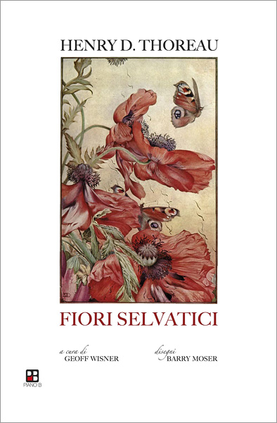 Thoreau, Fiori selvatici