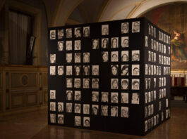 Paola Volpato, Black Box