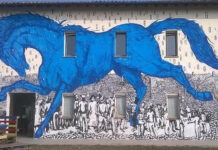 Attualità di Basaglia tra Italia e Brasile