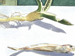 Lucian Freud, Still Life with Aloe