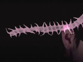 Lil Peep, Life is Beautiful