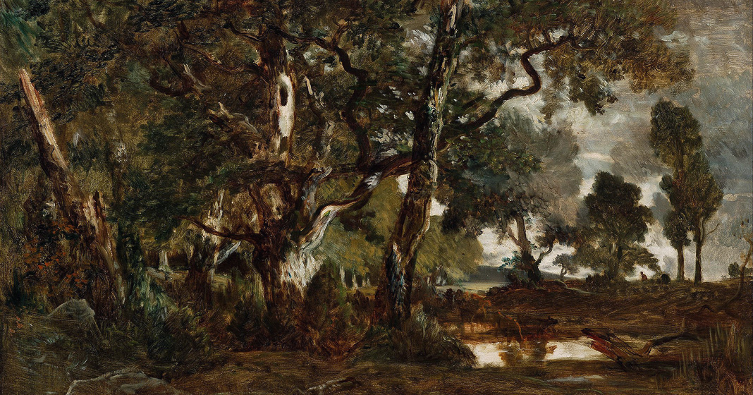 Théodore Rousseau, Forest of fontainebleau, 1849-1855