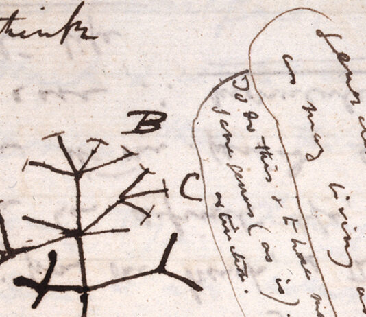 Charles Darwin, L'albero evolutivo