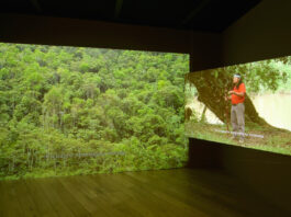 Ursula Biemann, Forest Law