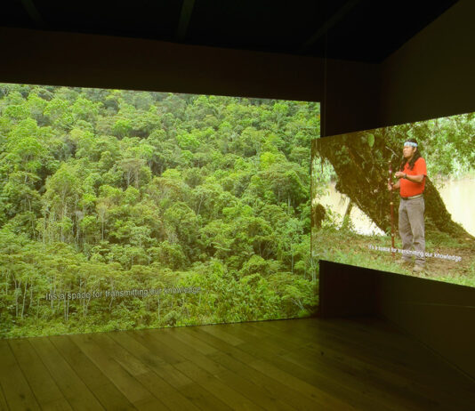 Ursula Biemann, Forest Law