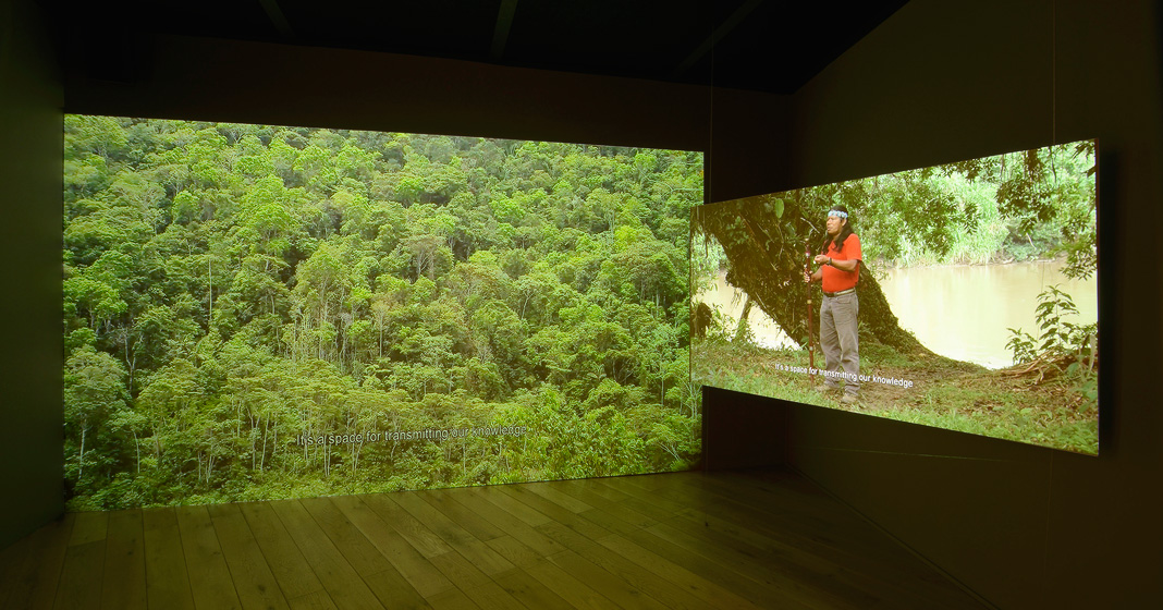 Ursula Biemann, Forest Law Ursula Biemann, Forest Law