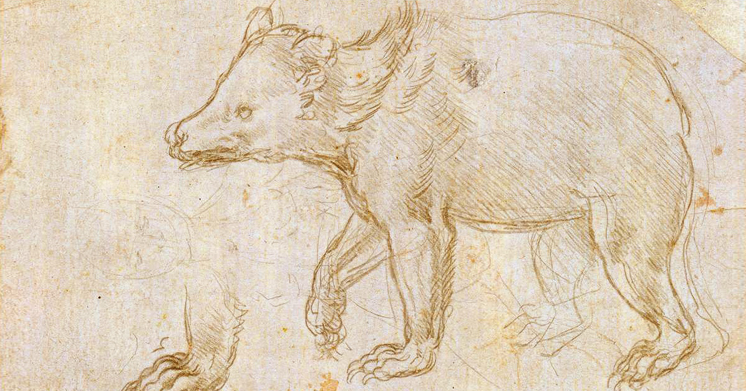 Leonardo da Vinci, Orso che cammina Leonardo da Vinci, Orso che cammina
