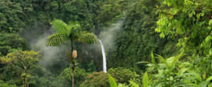 La caduta del cielo - foresta amazzonica